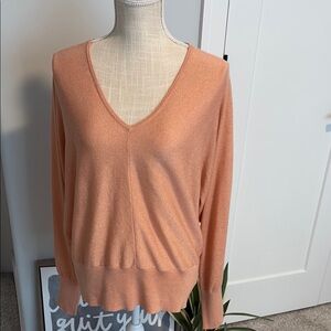 Express V-Neck Long-sleeved Dolman Top - NWT